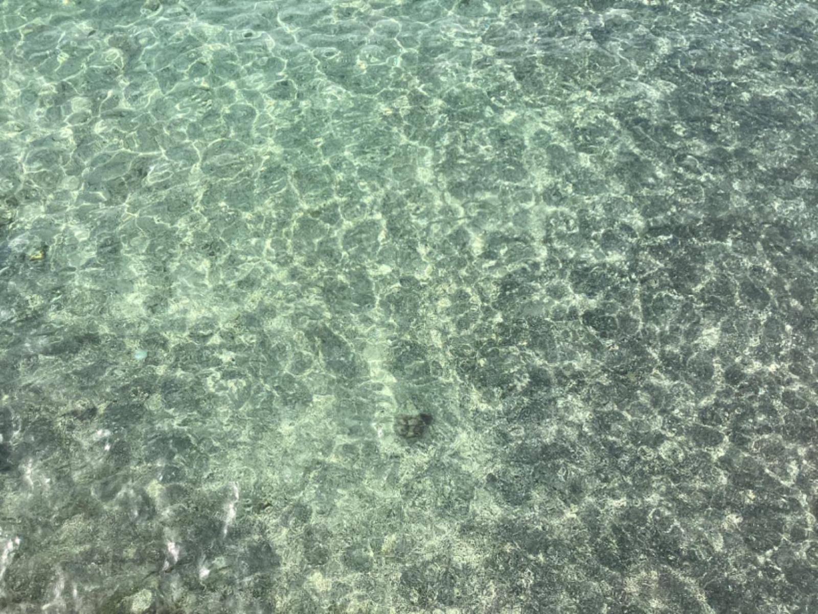 Puri Oka Beach Bungalows Καντιντάσα Εξωτερικό φωτογραφία